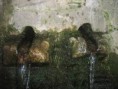 /album/resim-galerisi/karap%c4%b1nar-jpg/